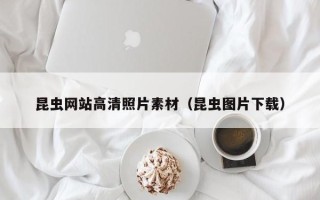 庆阳昆虫网站高清照片素材（昆虫图片下载）